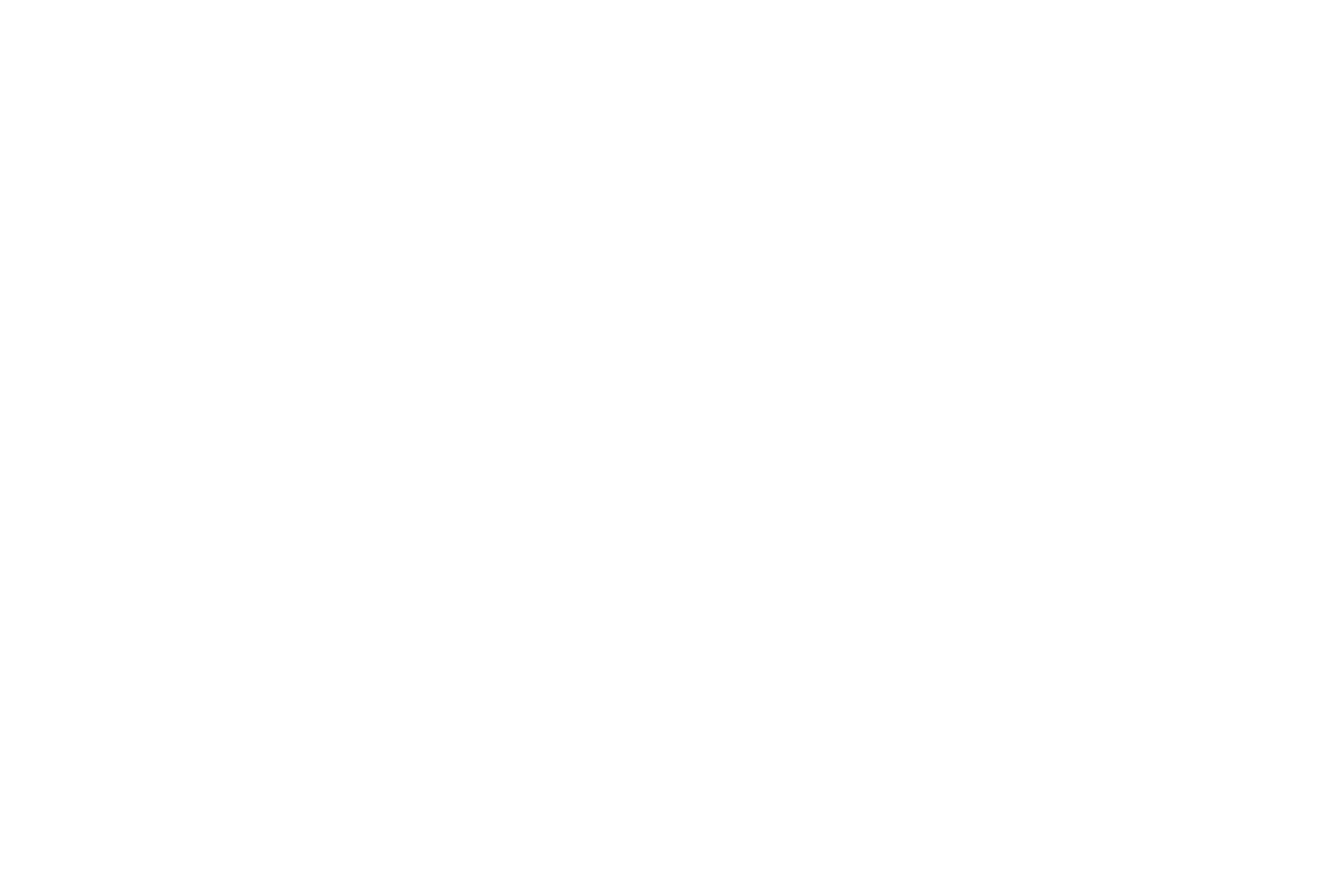 Silvia Cipolloni - Avvocata